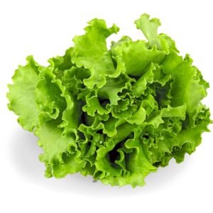 Yeşil Salata